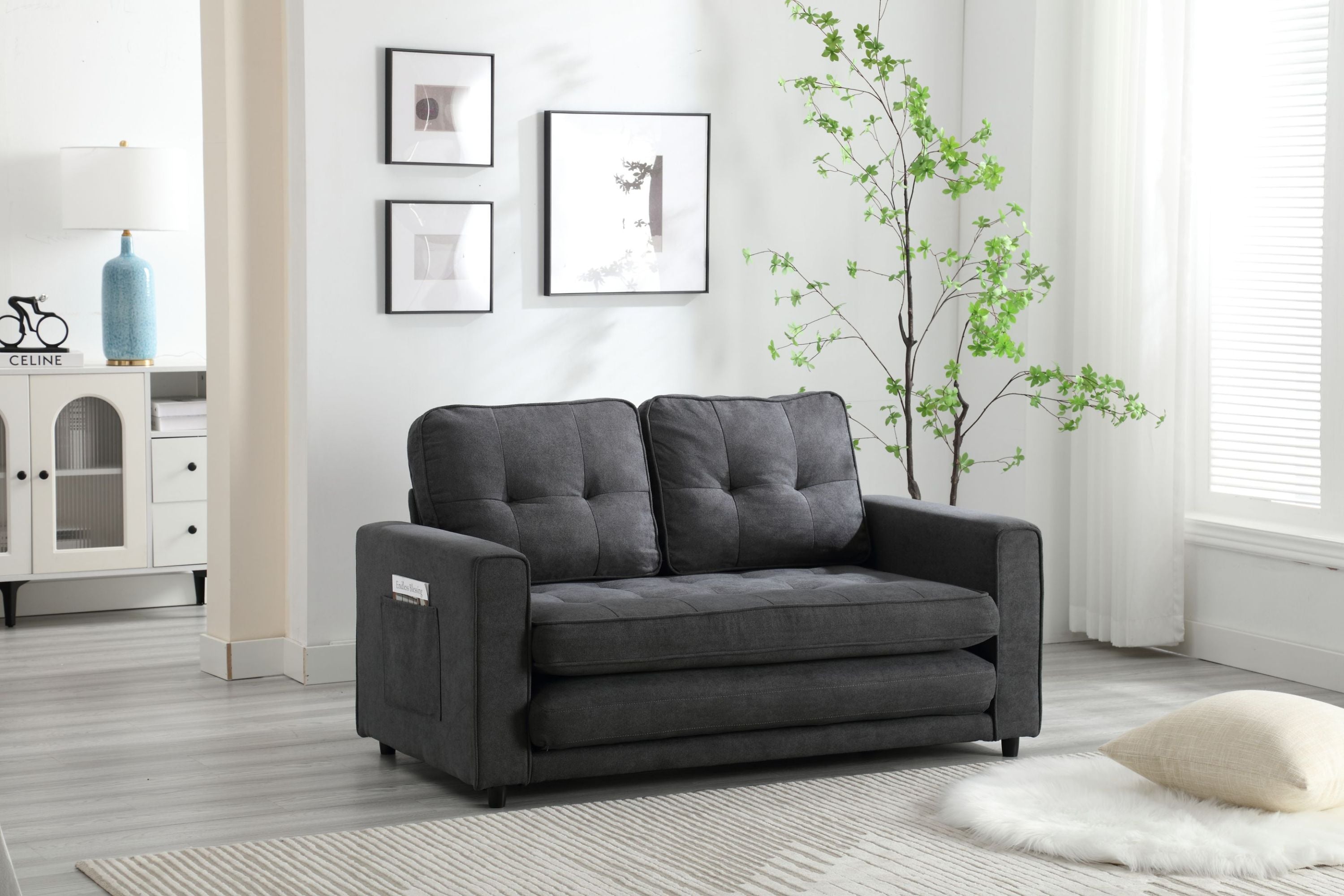 Pull Out Couch Bed for Living Room