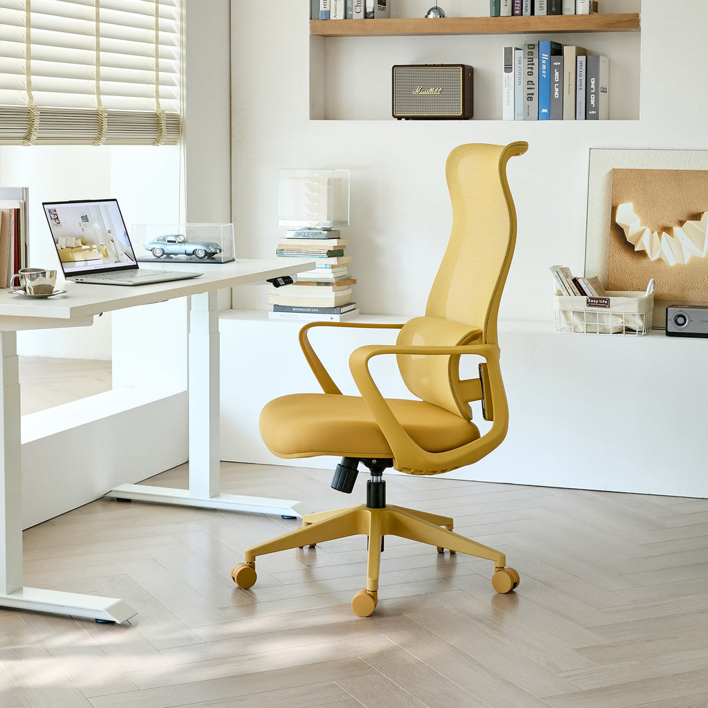 Modern Executive Office Chair with Adjustable Height Lumbar Support