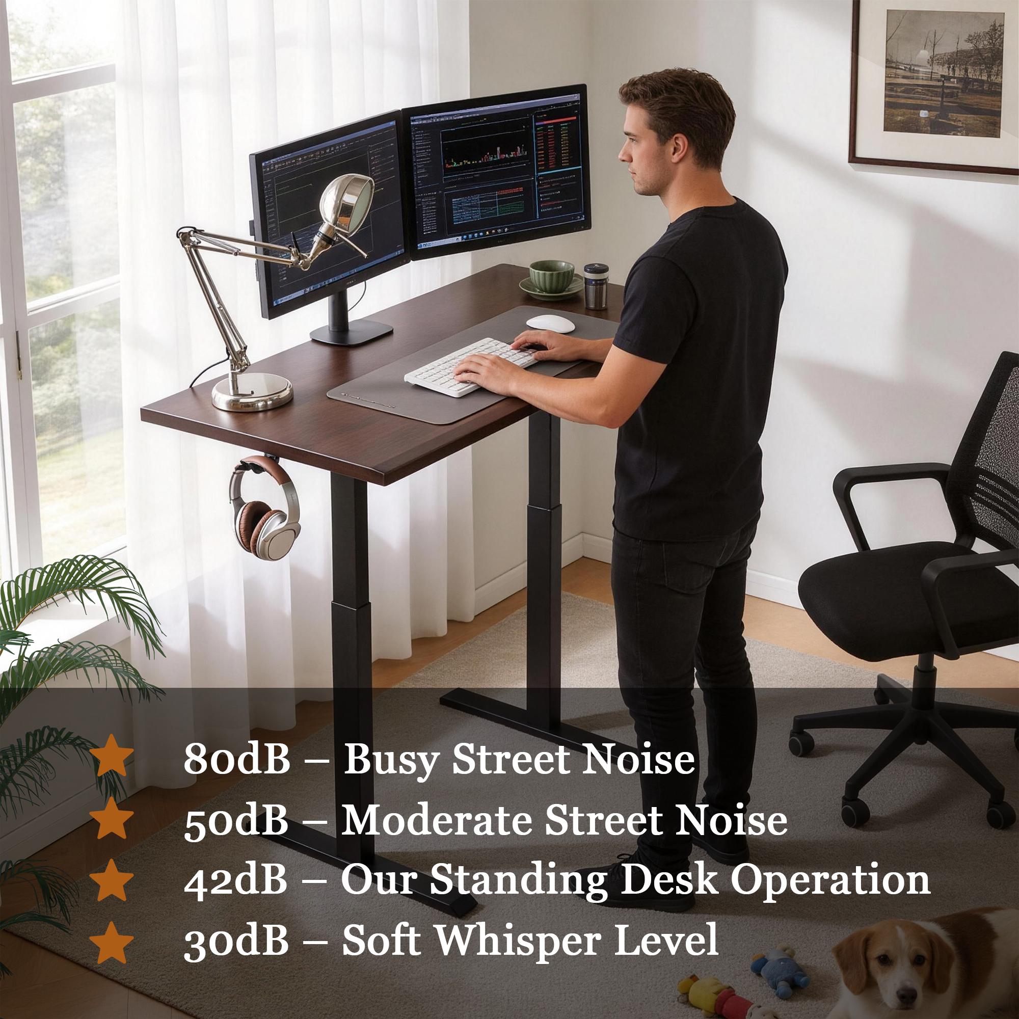 Solid Rubberwood Electric Adjustable Height Ergonomic Home Office Desk