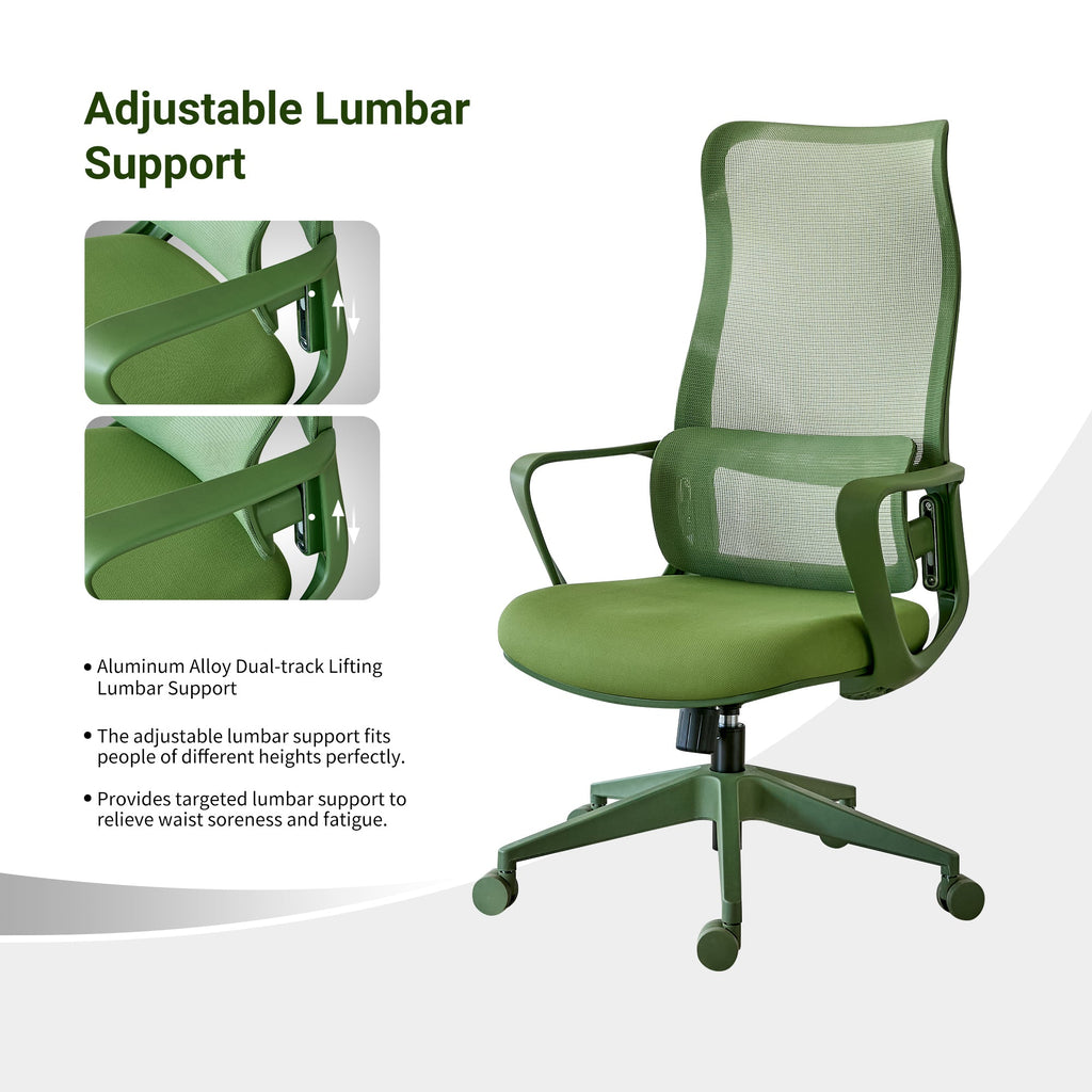 Modern Executive Office Chair with Adjustable Height Lumbar Support