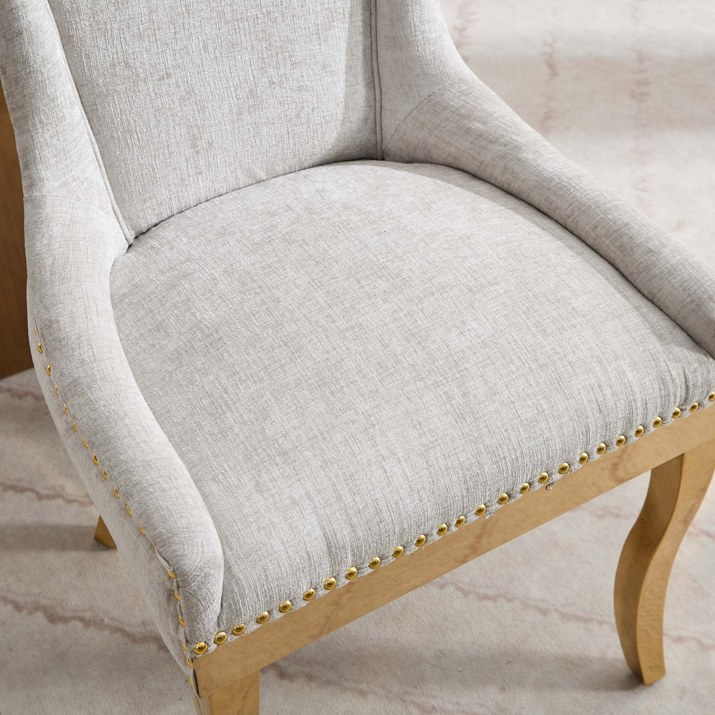 Modern Style Chenille Dining Chairs (Set of 2)