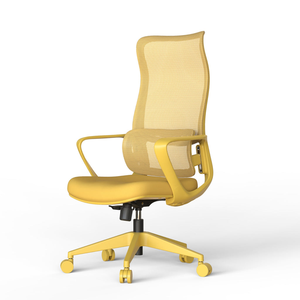 Modern Executive Office Chair with Adjustable Height Lumbar Support