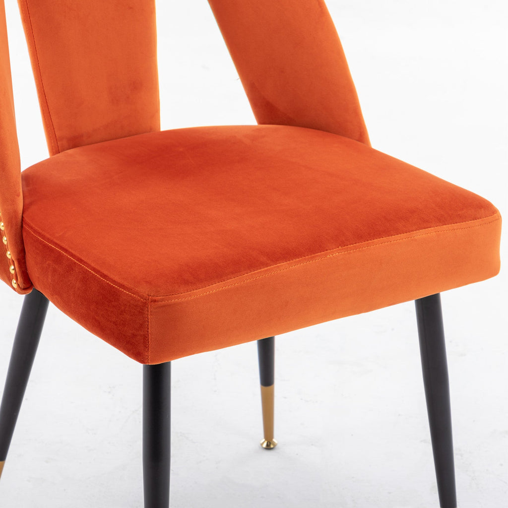 Modern Velvet Upholstered Dining Chair (Set of 2)