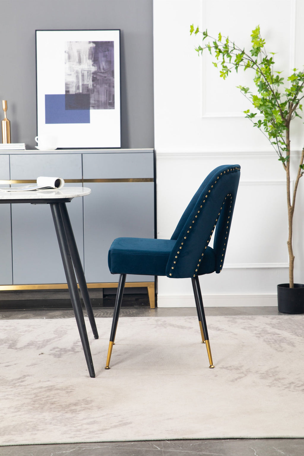 Modern Velvet Upholstered Dining Chair (Set of 2)