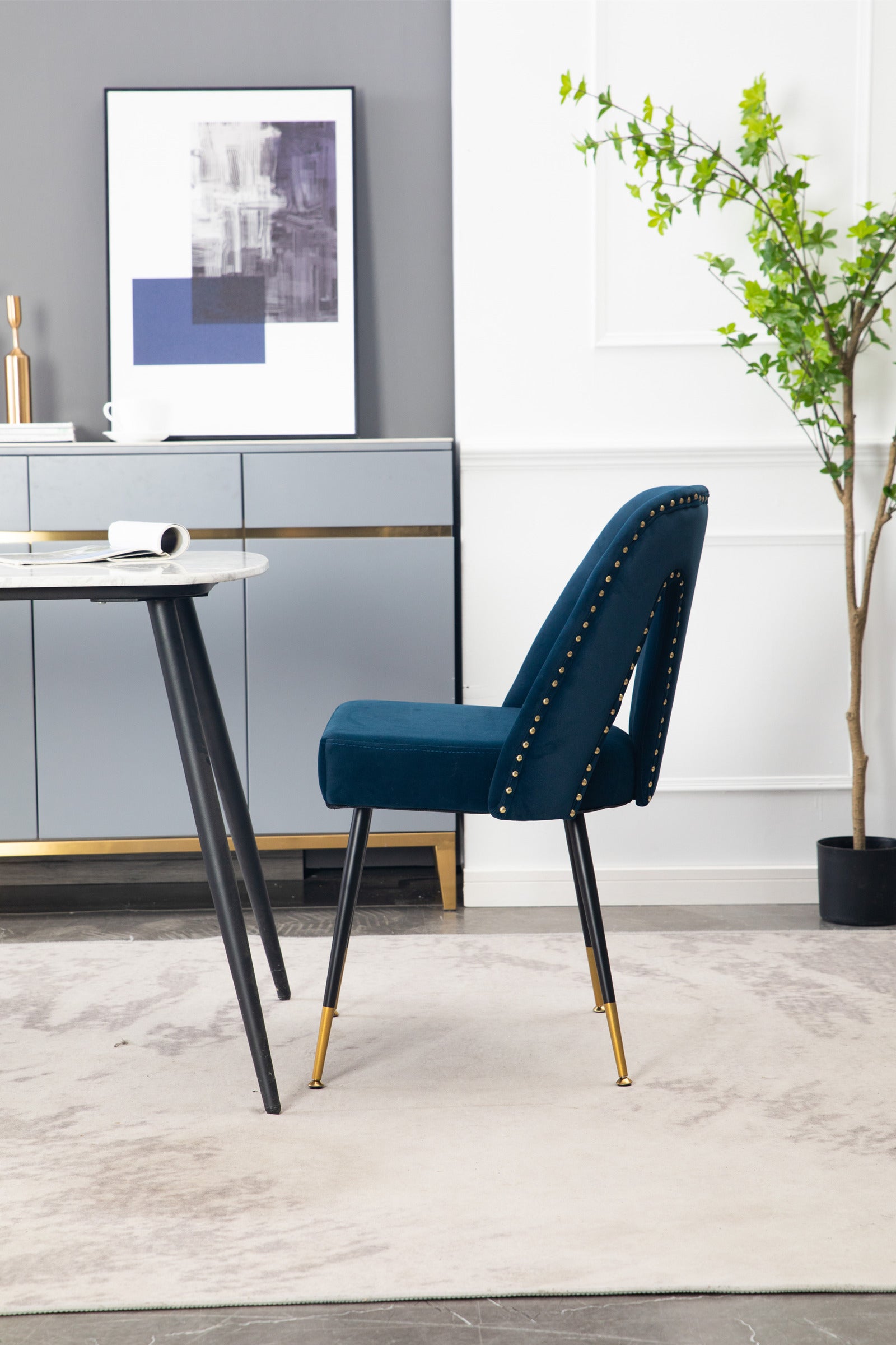 Modern Velvet Upholstered Dining Chair (Set of 2)
