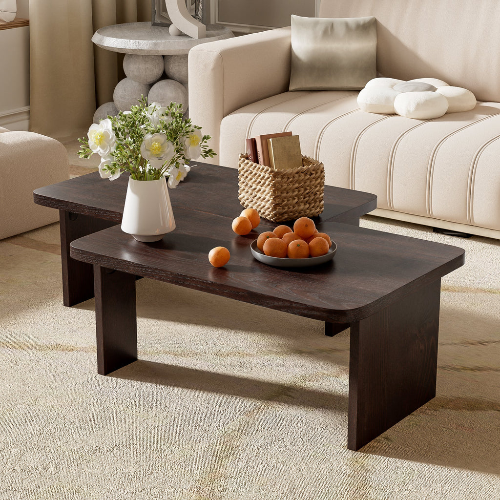 Modern Minimalist Coffee Table Set for Living Room