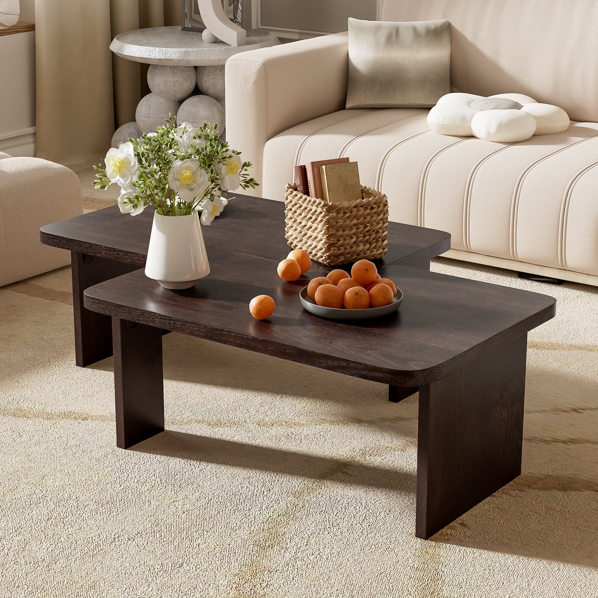 Modern Minimalist Coffee Table Set for Living Room