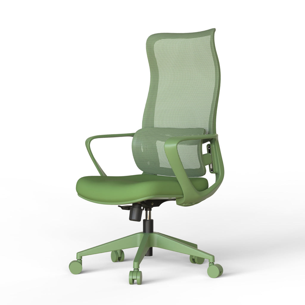 Modern Executive Office Chair with Adjustable Height Lumbar Support