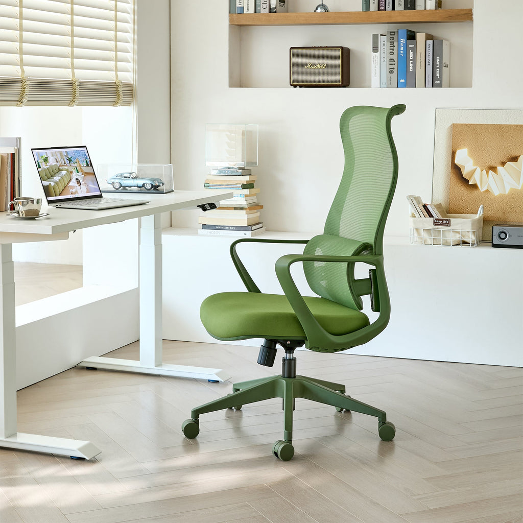 Modern Executive Office Chair with Adjustable Height Lumbar Support