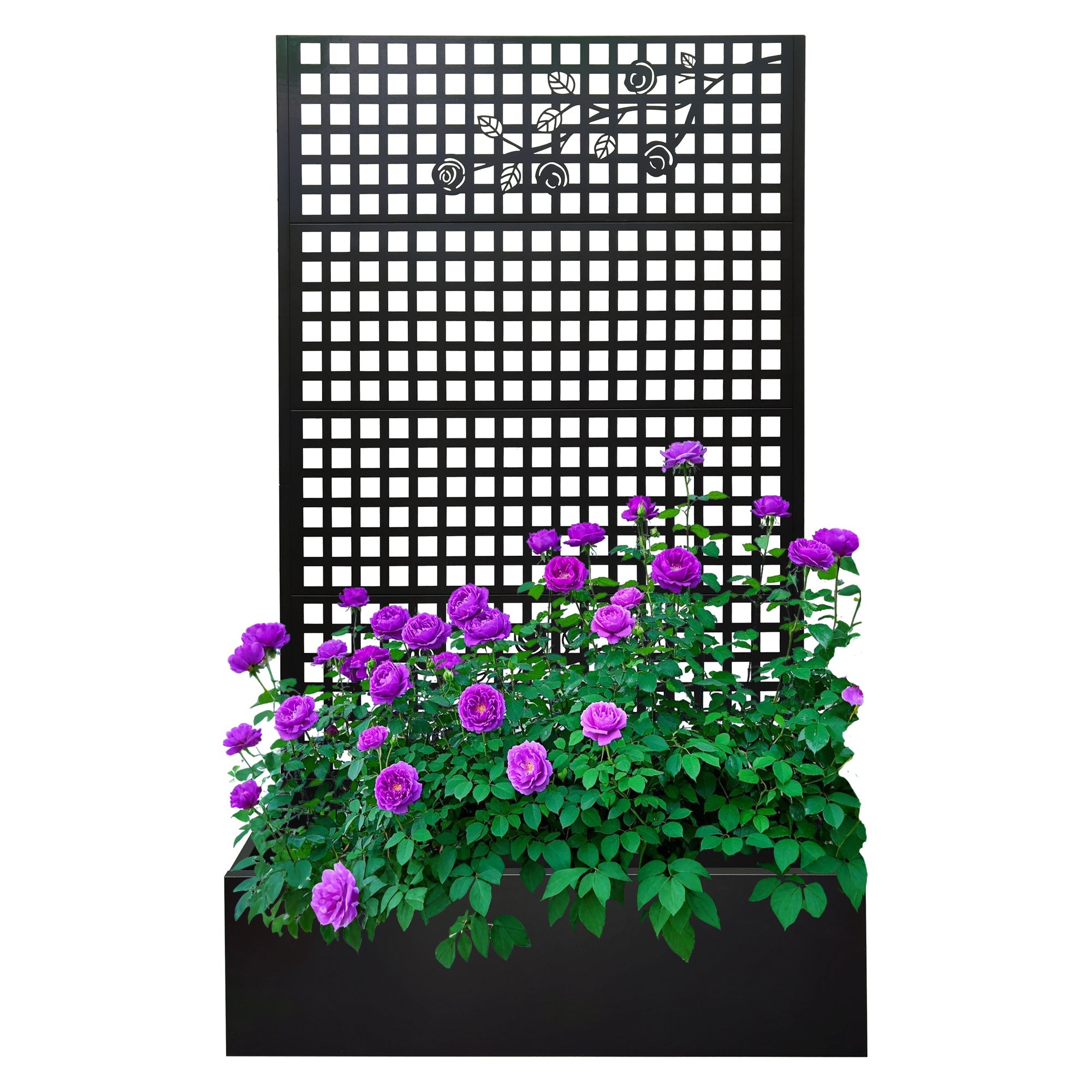 Black Metal Raised Garden Bed with Trellis for Climbing Plants