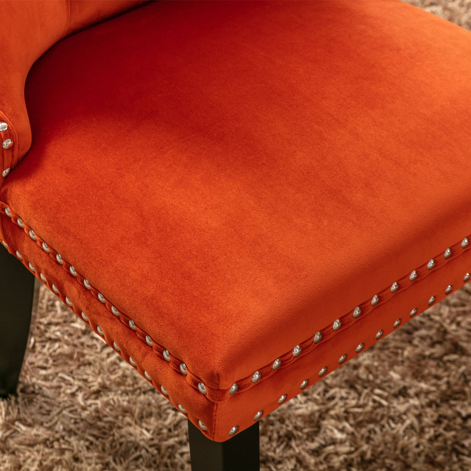 Modern High-end Tufted Solid Wood Velvet Dining Chair(Set of 2)