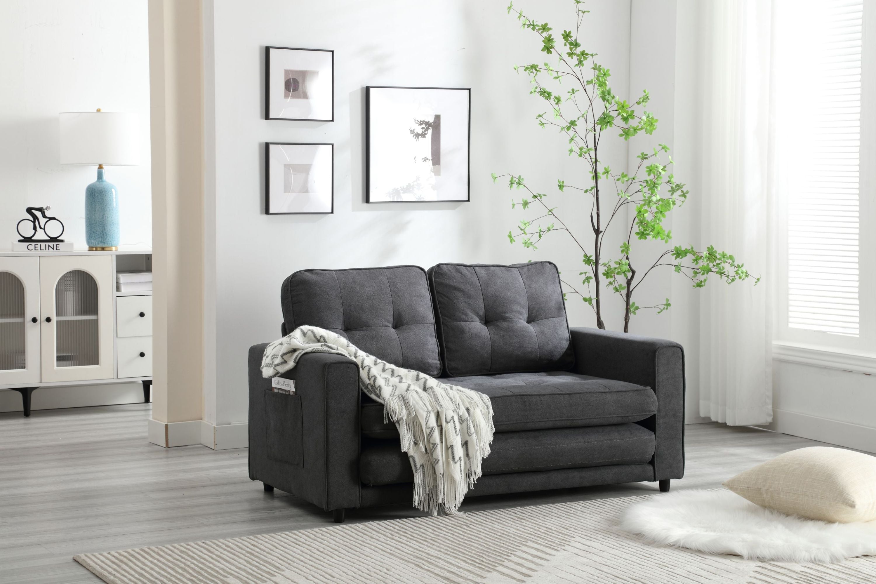 Pull Out Couch Bed for Living Room