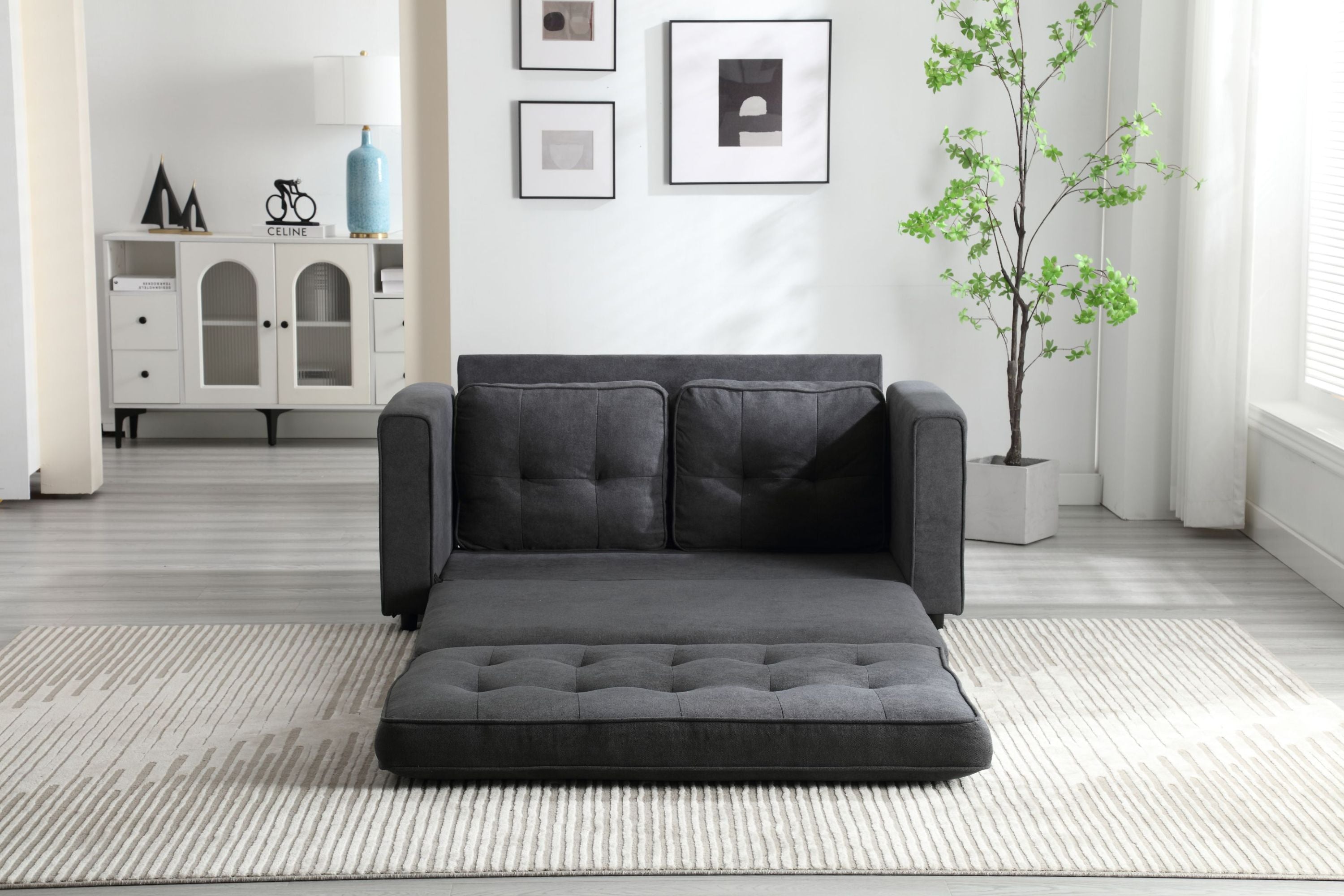 Pull Out Couch Bed for Living Room