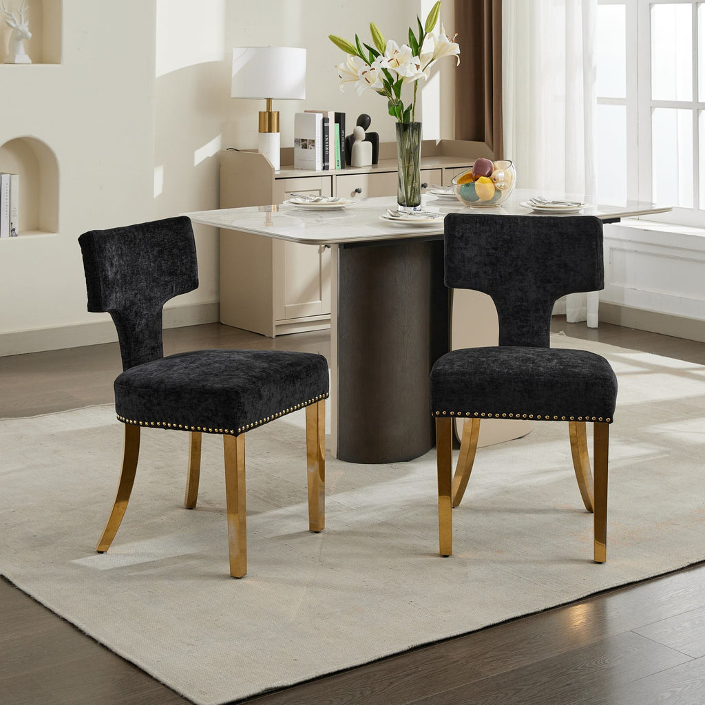 Mid Century Modern Dining Chairs (Set of 2)