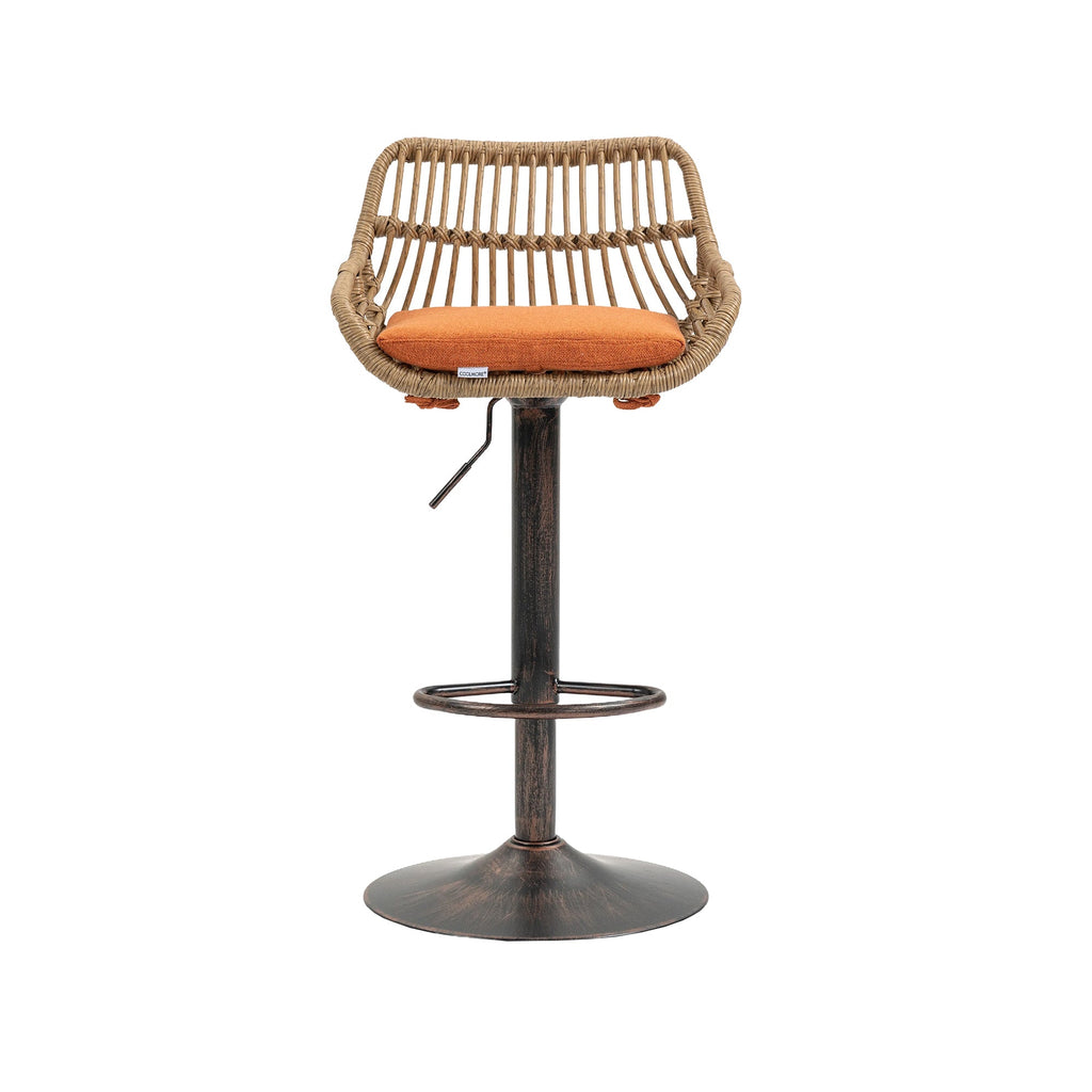 Modern Swivel Bar Stools (Set of 2)