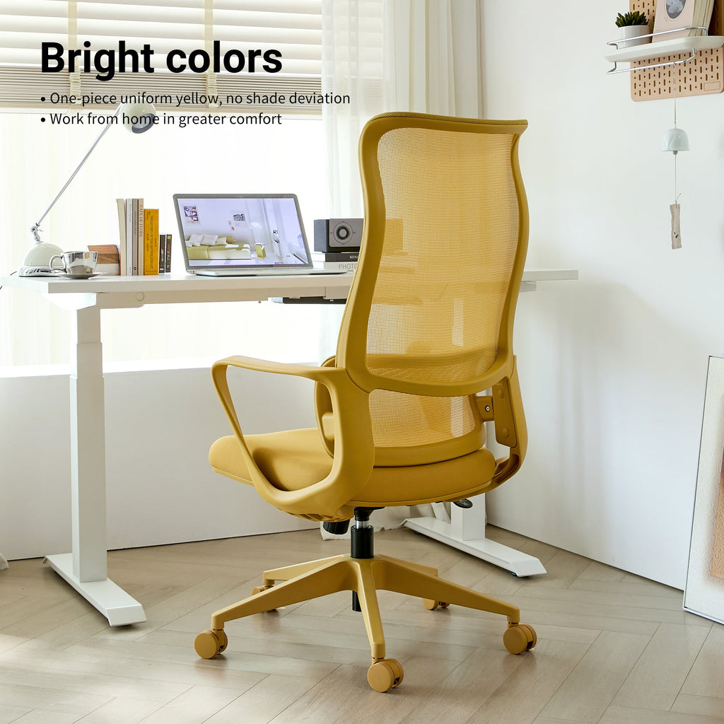 Modern Executive Office Chair with Adjustable Height Lumbar Support