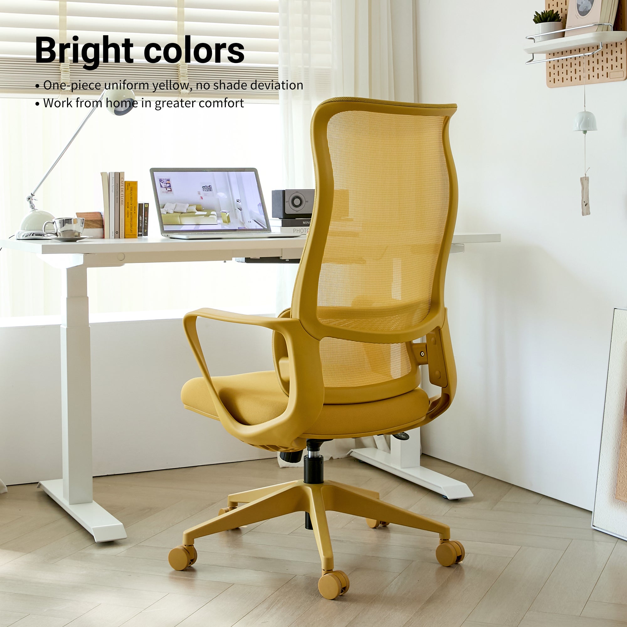 Modern Executive Office Chair with Adjustable Height Lumbar Support