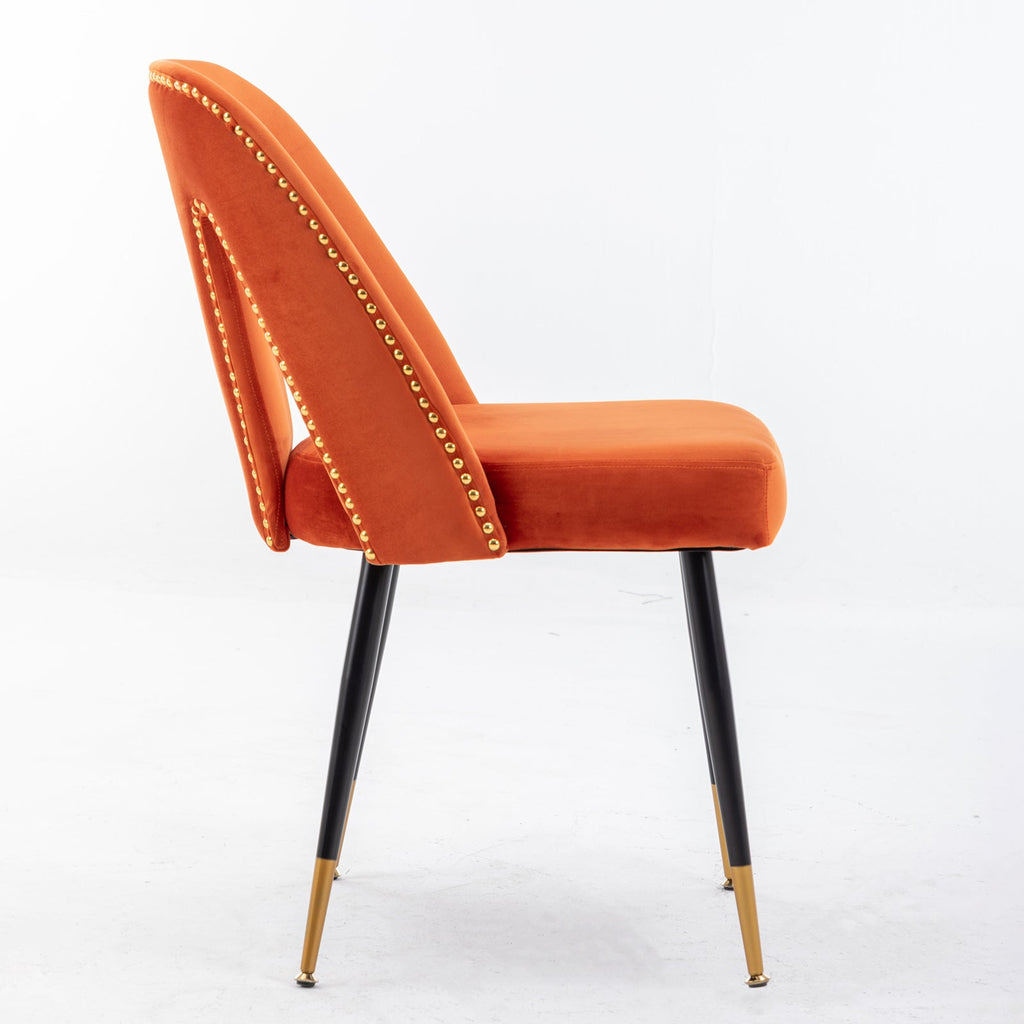 Modern Velvet Upholstered Dining Chair (Set of 2)