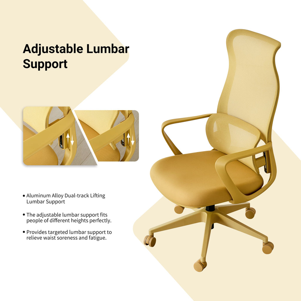 Modern Executive Office Chair with Adjustable Height Lumbar Support