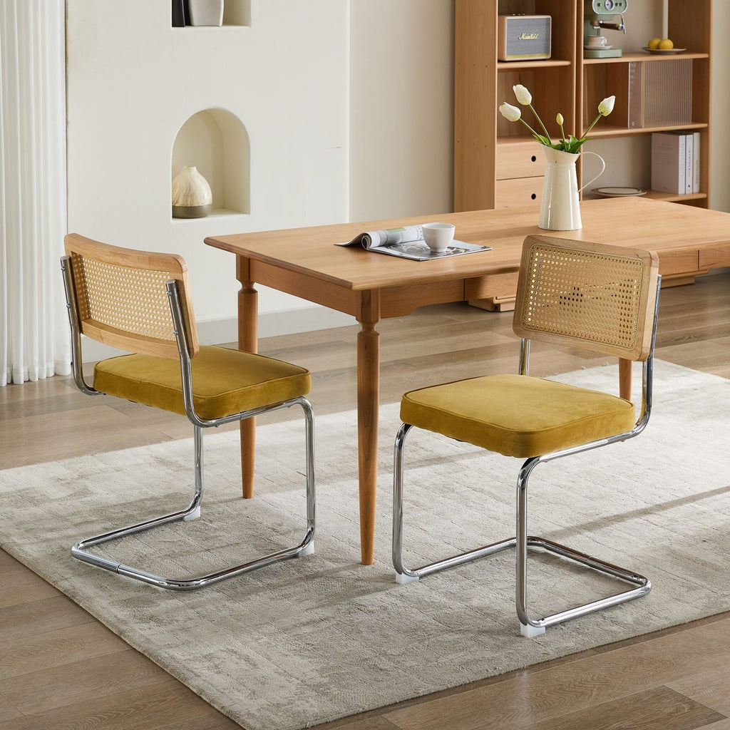 Mid Century Modern Dining Chairs (Set of 2)