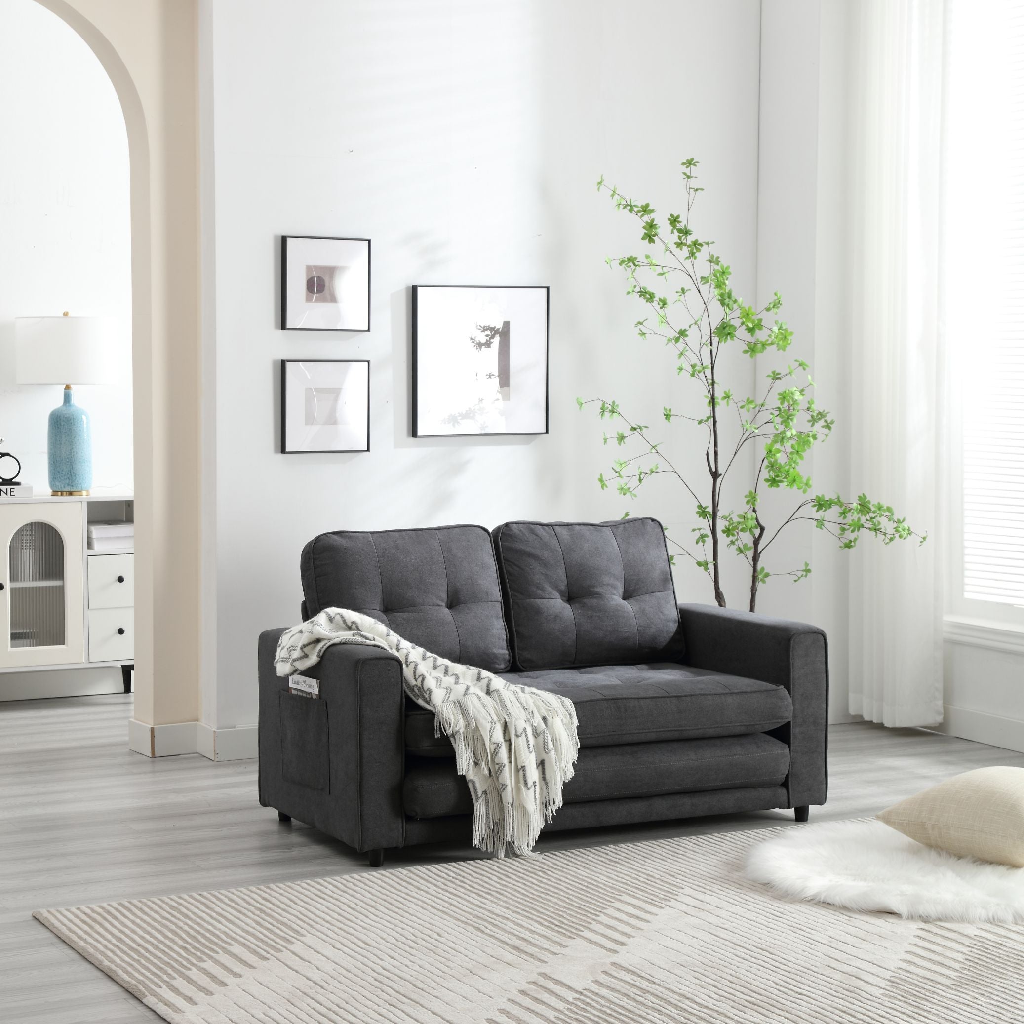Pull Out Couch Bed for Living Room