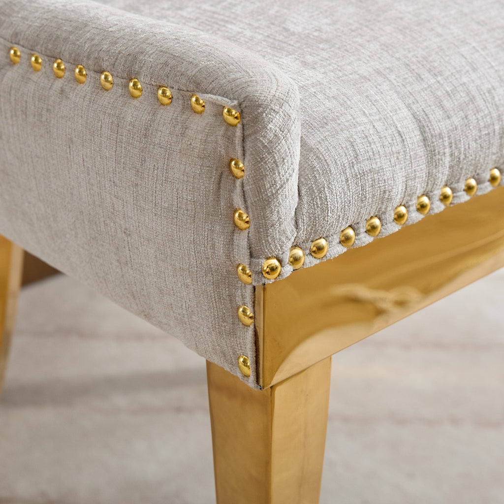 Modern Style Chenille Dining Chairs (Set of 2)