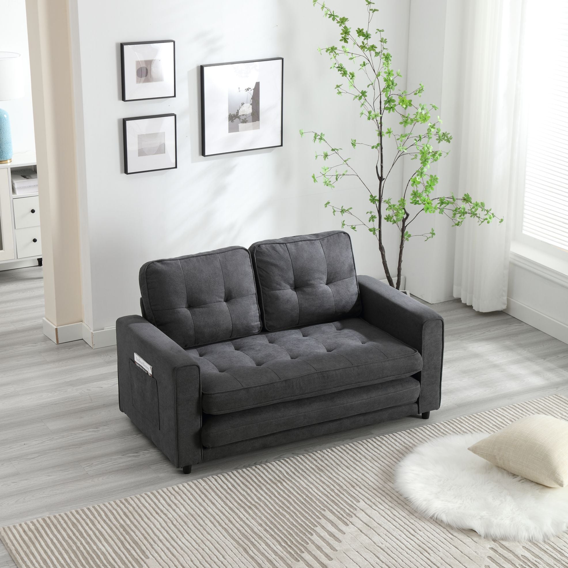 Pull Out Couch Bed for Living Room