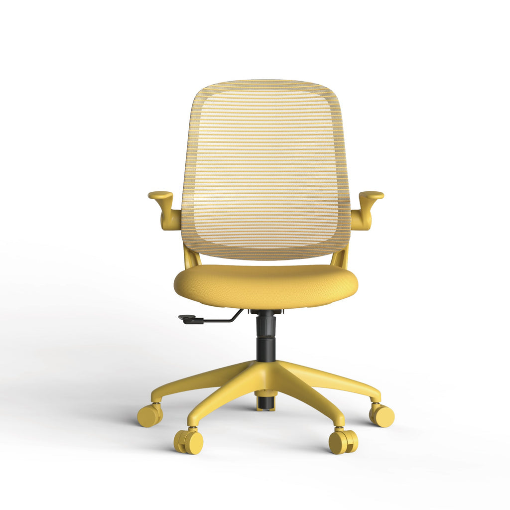 Colorful Ergonomic Office Chair with Flip-Up Armrests
