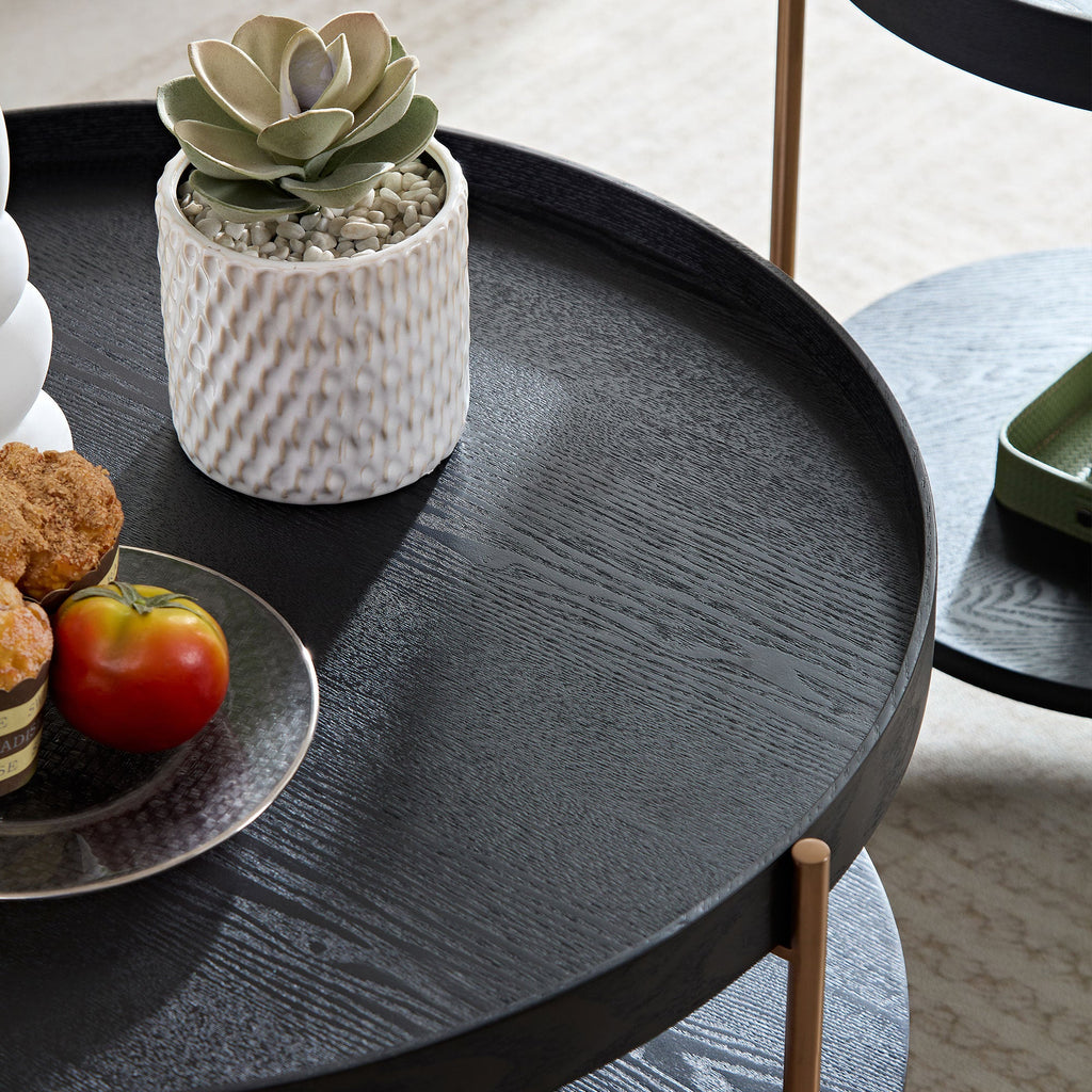 Modern 2 tier Round Coffee Table Set