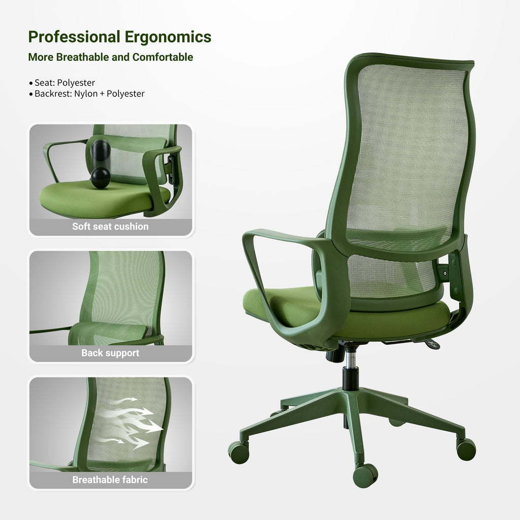 Modern Executive Office Chair with Adjustable Height Lumbar Support