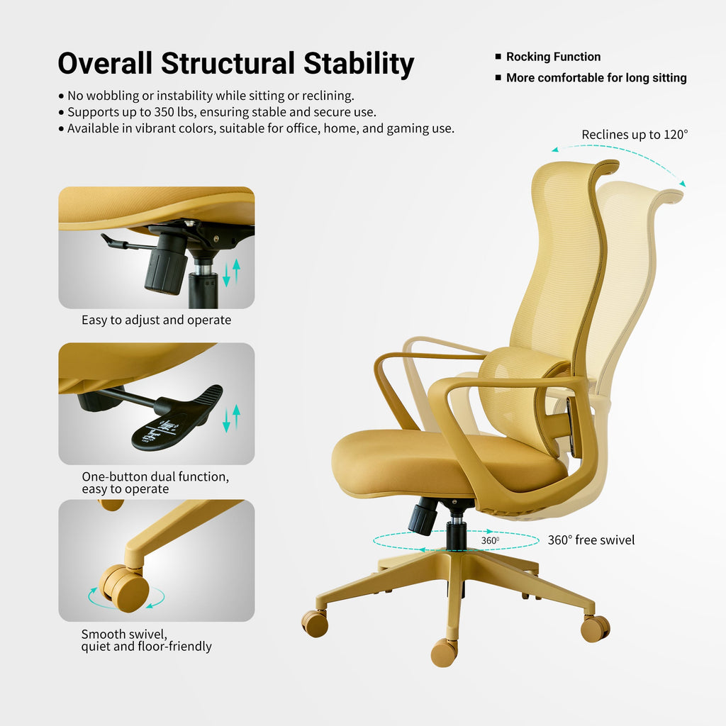 Modern Executive Office Chair with Adjustable Height Lumbar Support