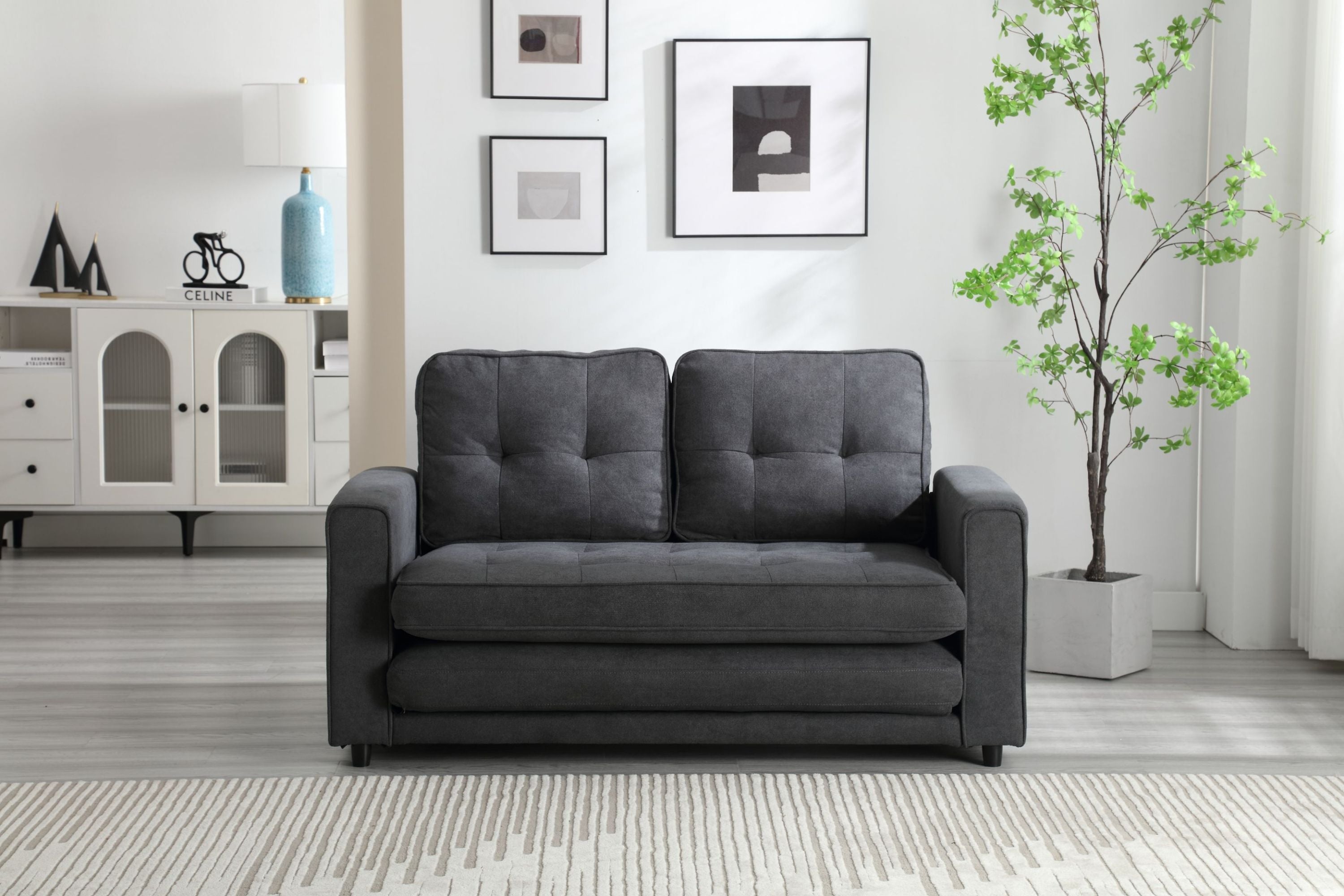 Pull Out Couch Bed for Living Room