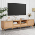 Modern Rattan TV Stand for TVs