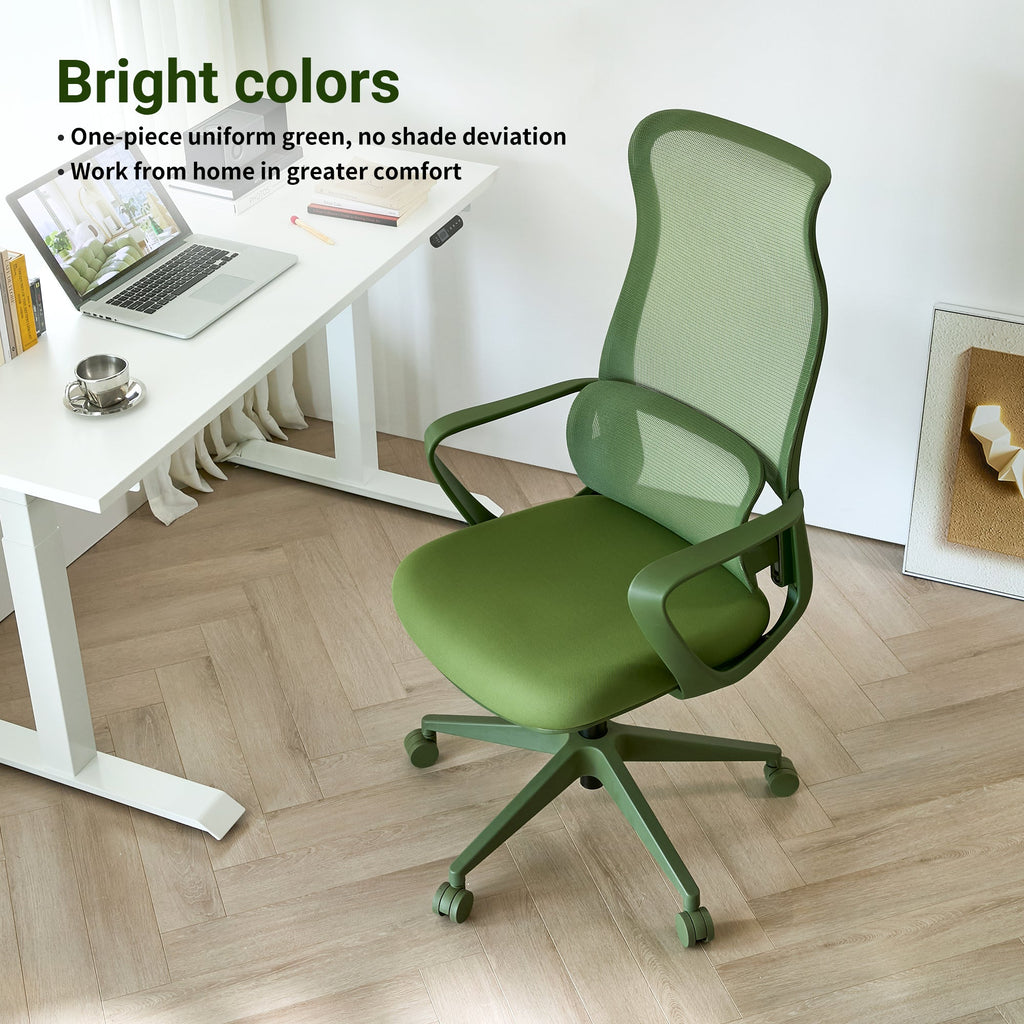 Modern Executive Office Chair with Adjustable Height Lumbar Support