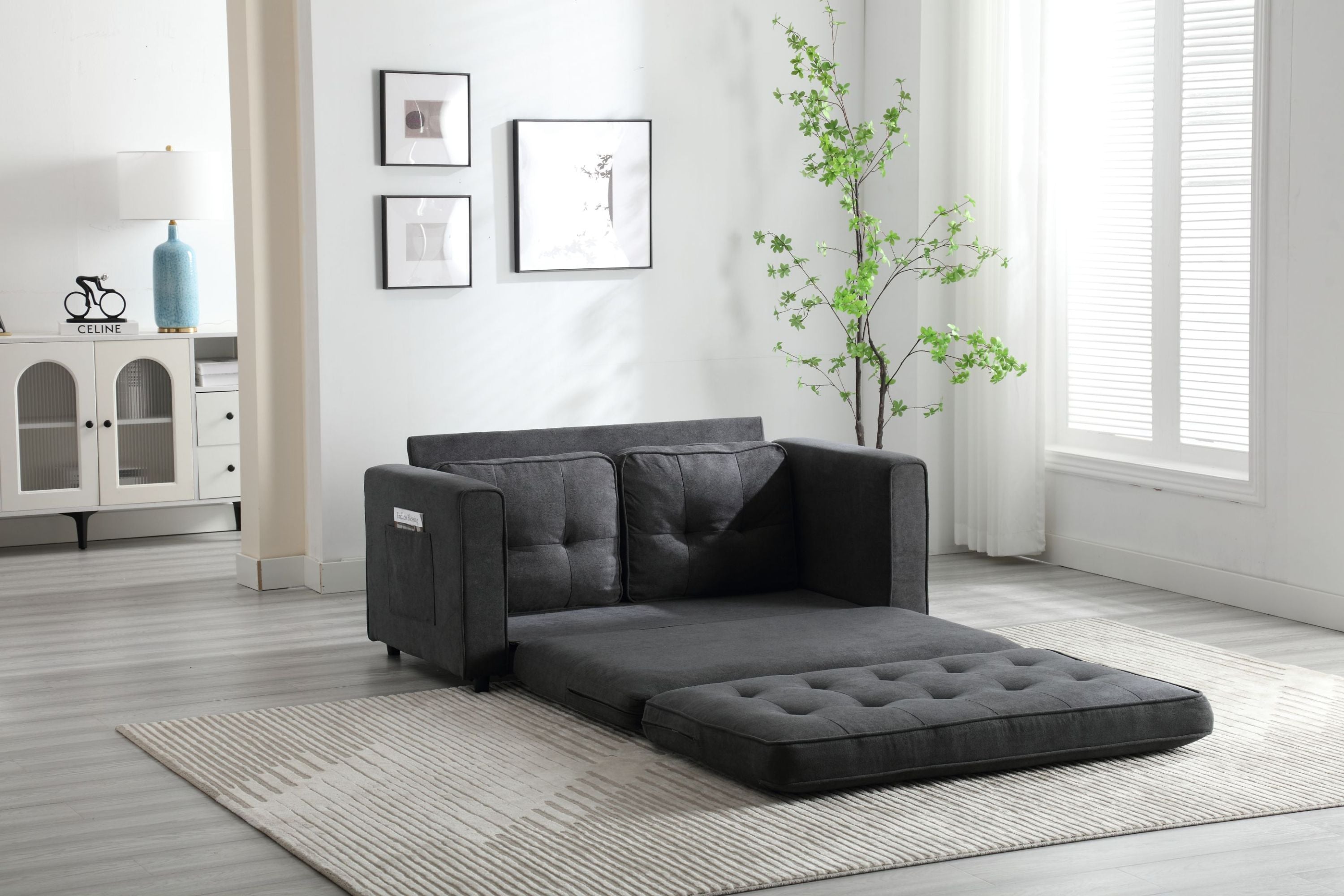 Pull Out Couch Bed for Living Room