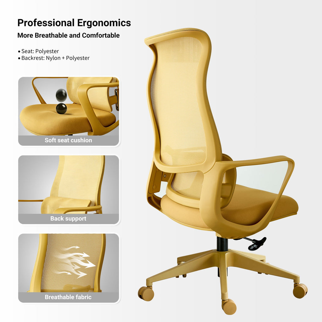 Modern Executive Office Chair with Adjustable Height Lumbar Support