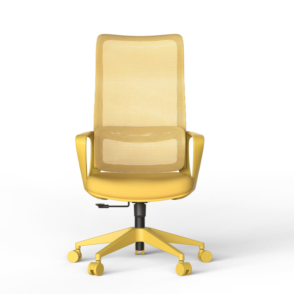 Modern Executive Office Chair with Adjustable Height Lumbar Support