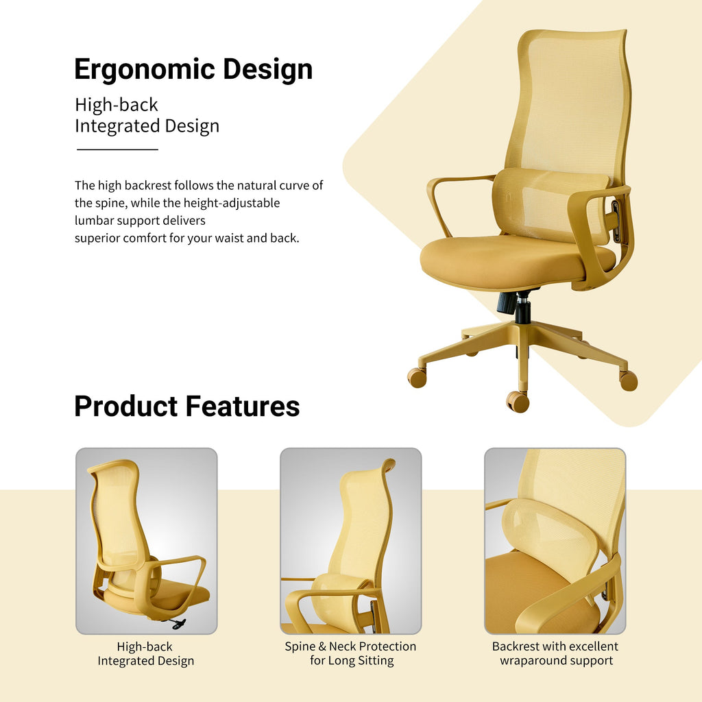 Modern Executive Office Chair with Adjustable Height Lumbar Support