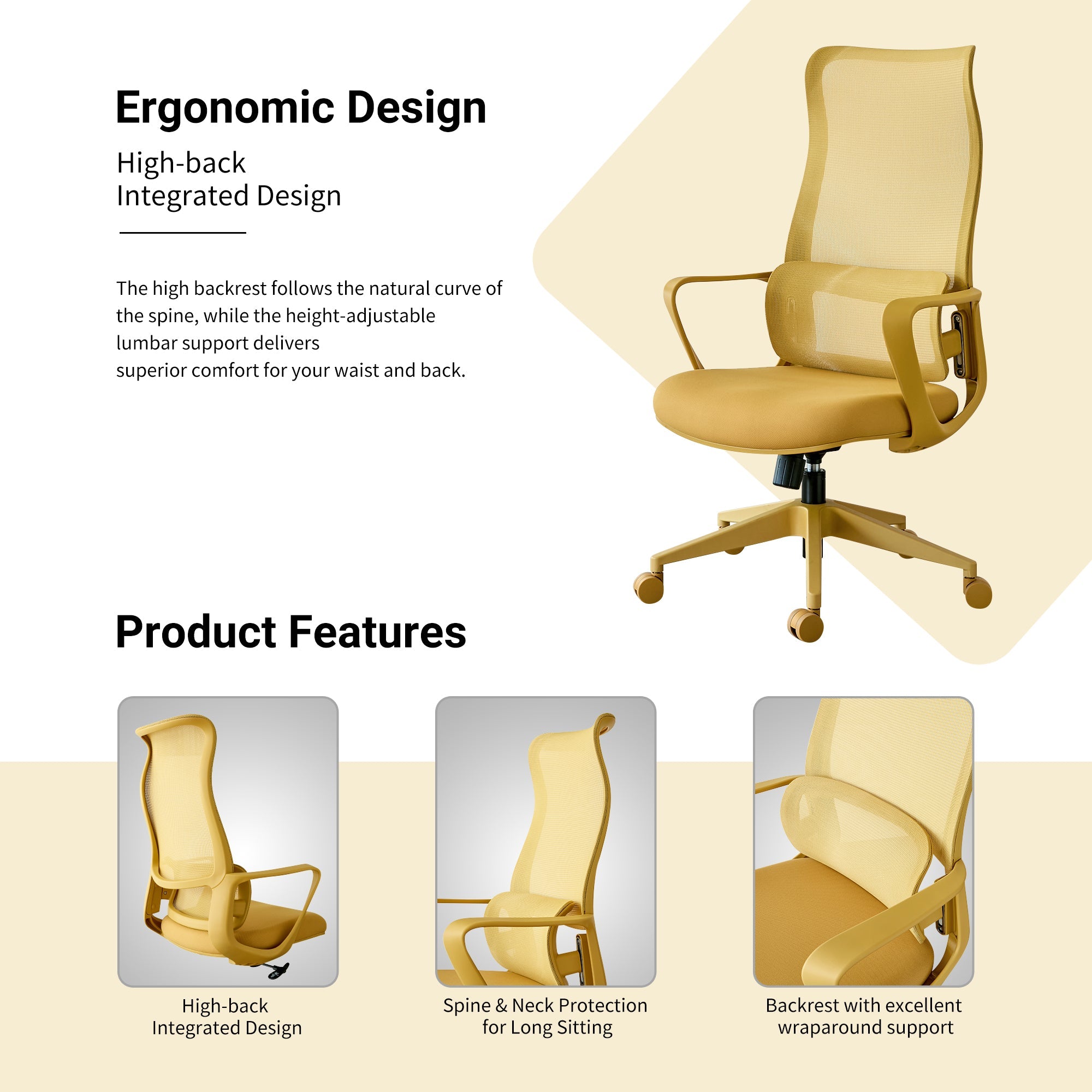 Modern Executive Office Chair with Adjustable Height Lumbar Support