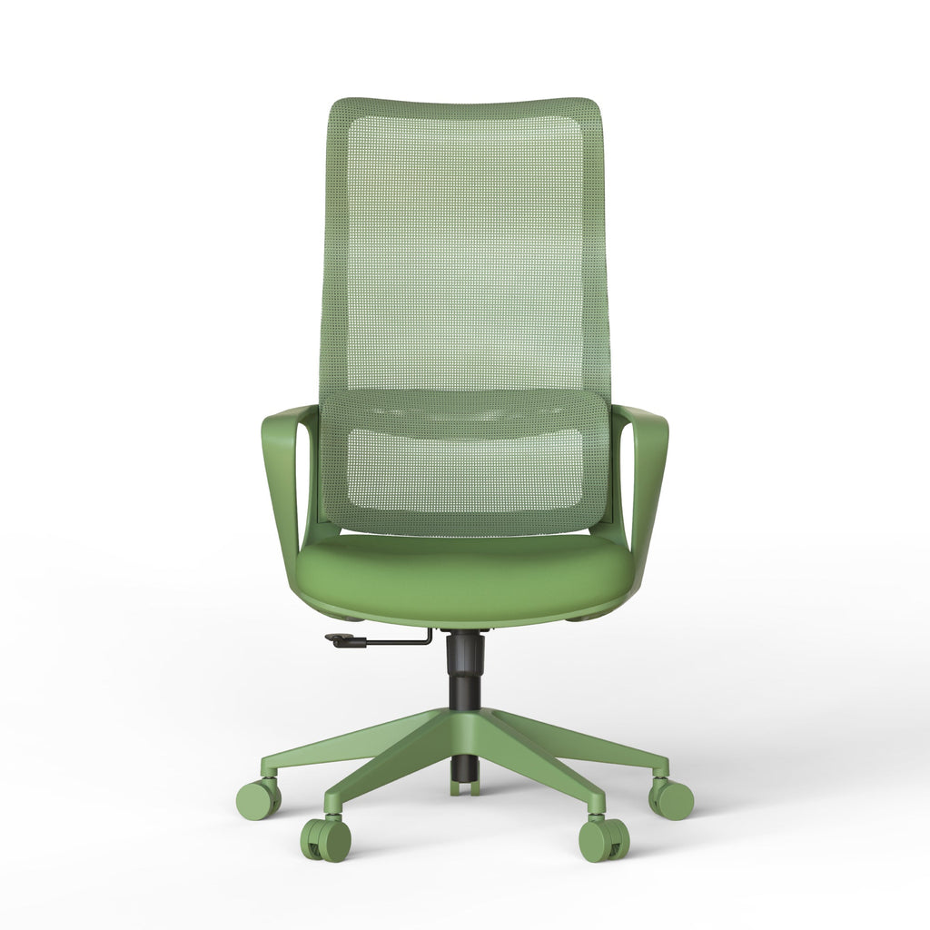 Modern Executive Office Chair with Adjustable Height Lumbar Support