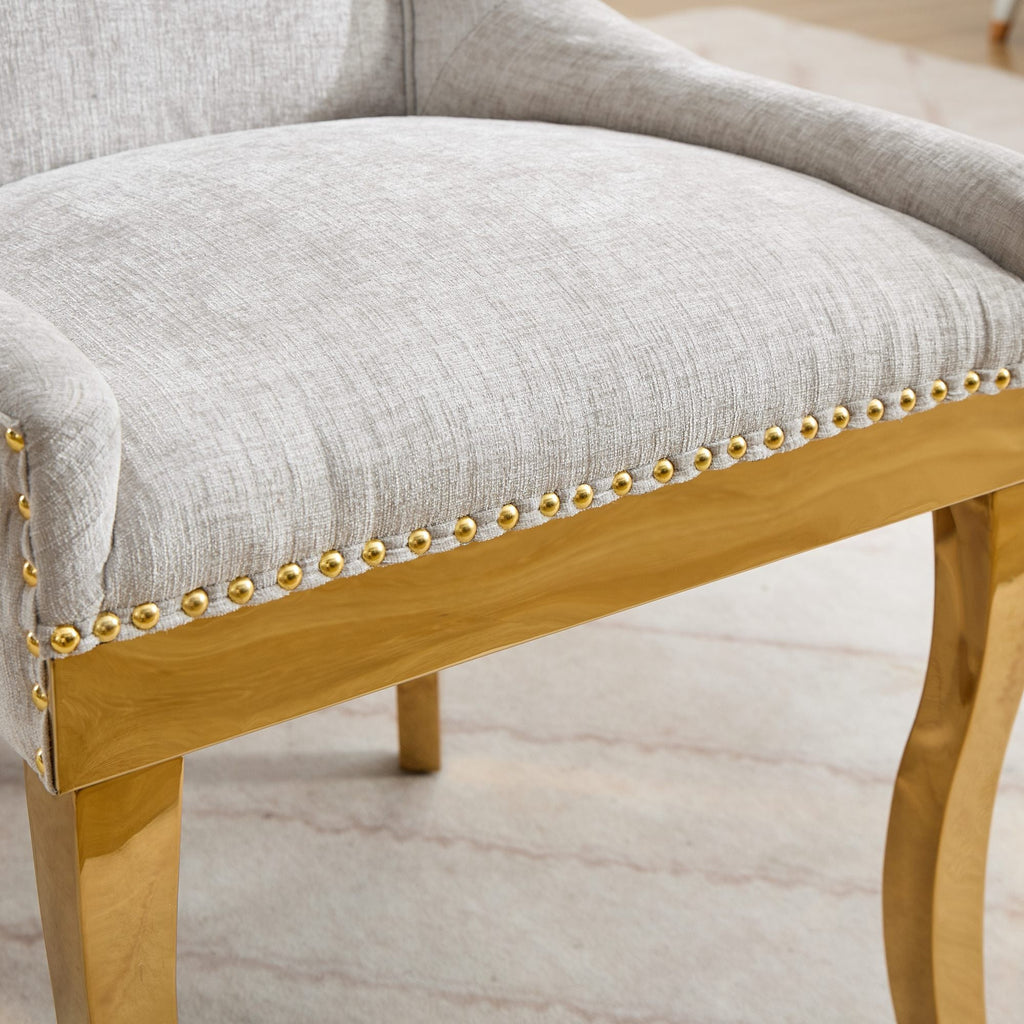 Modern Style Chenille Dining Chairs (Set of 2)