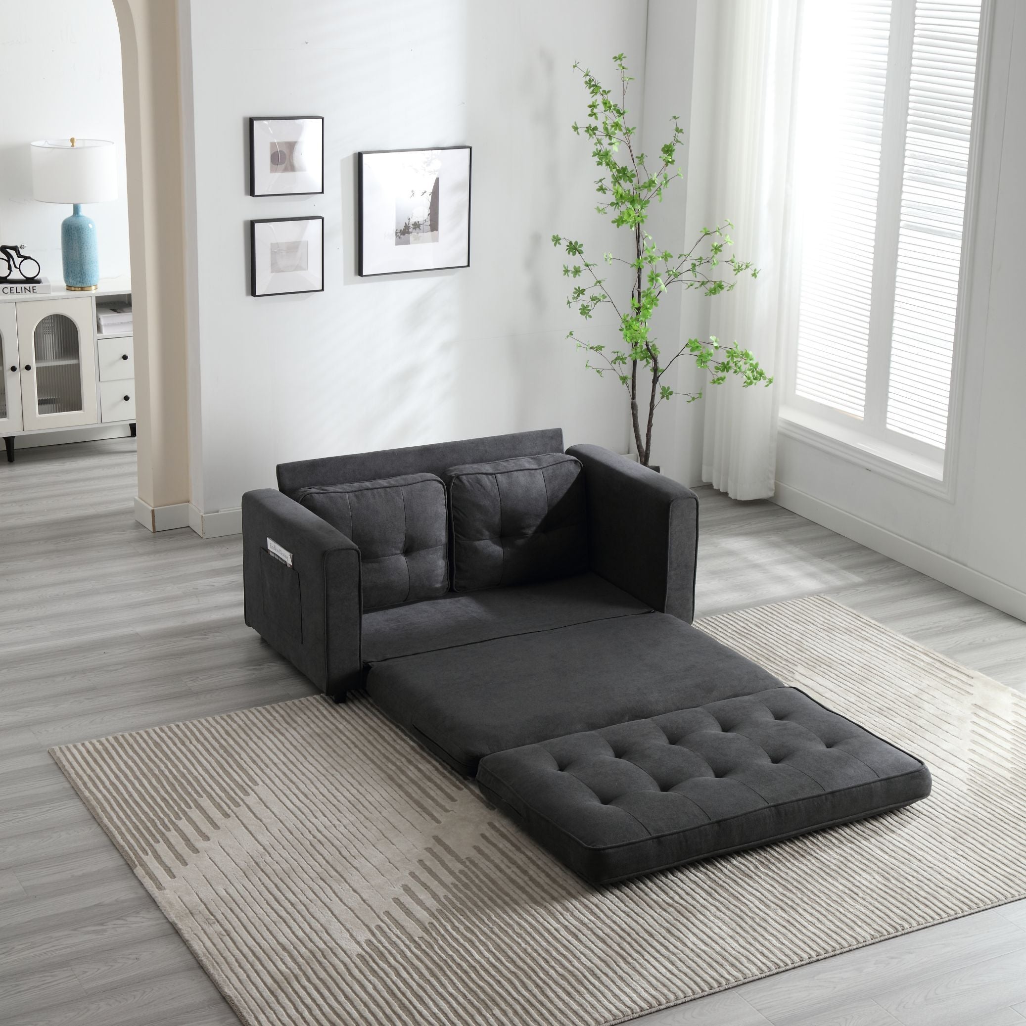 Pull Out Couch Bed for Living Room