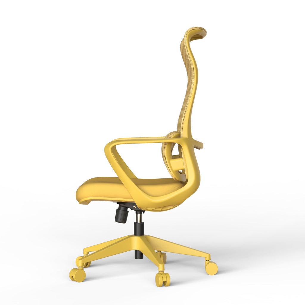 Modern Executive Office Chair with Adjustable Height Lumbar Support