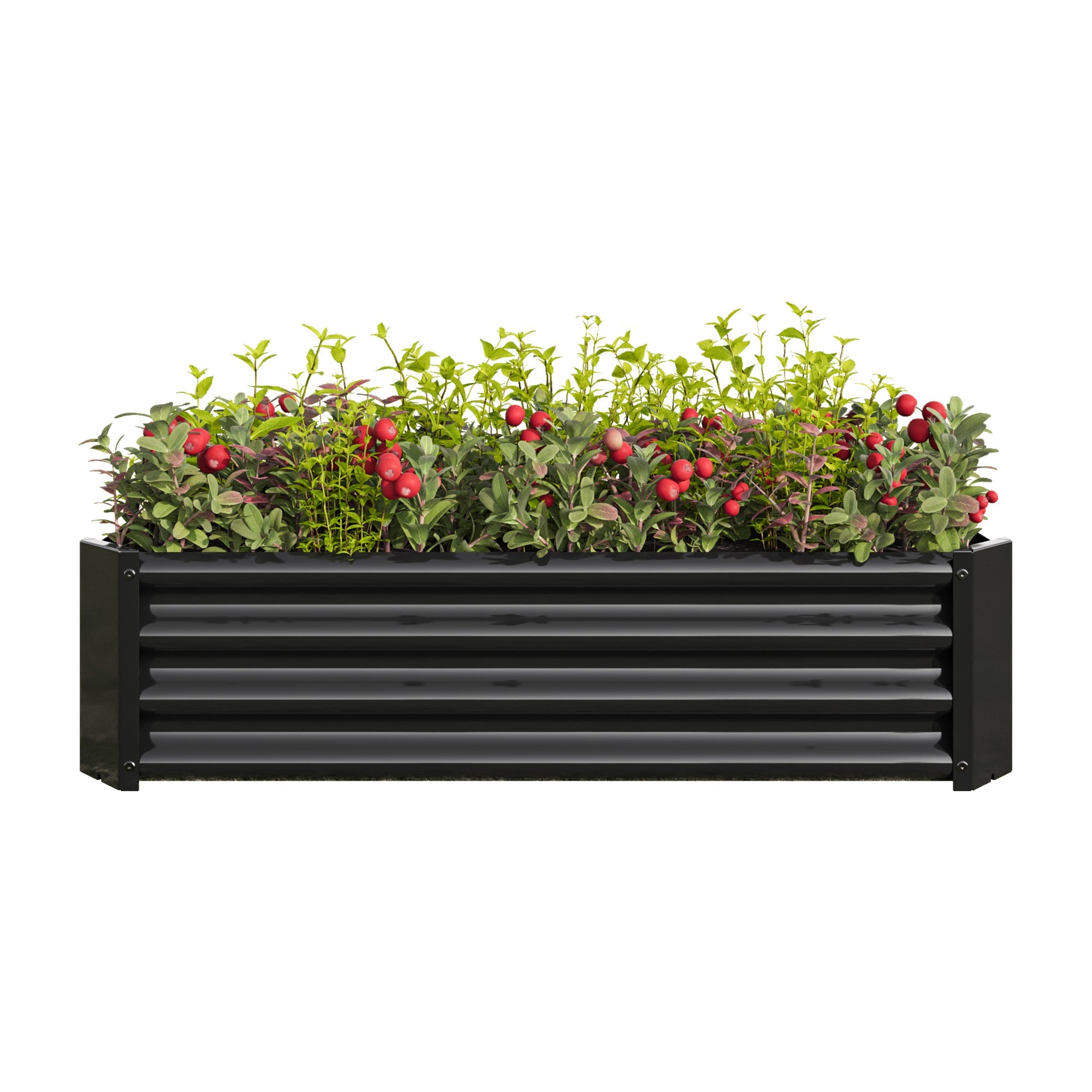 4x2x1ft Metal Raised Garden Bed Black Rectangle Planter Box Vegetables Herbs