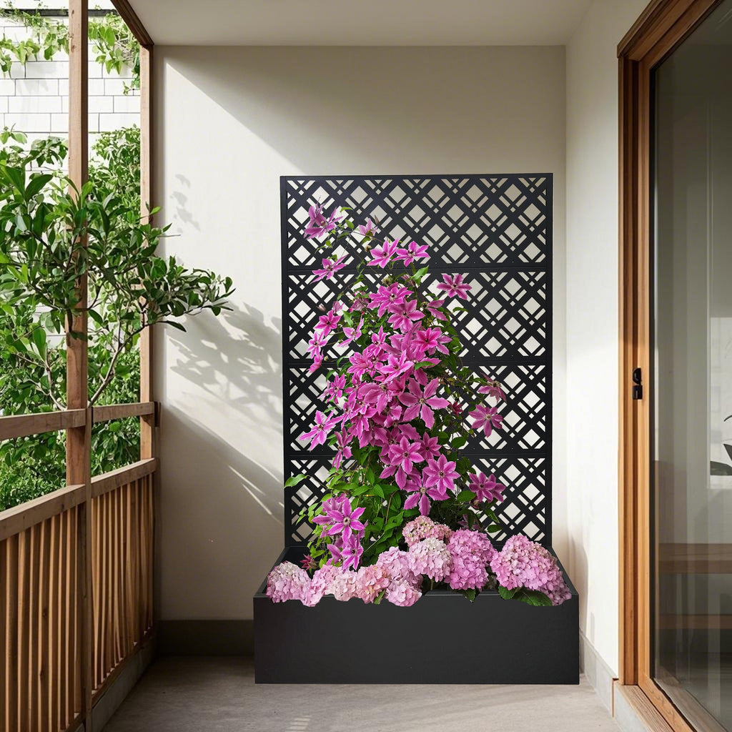 Black Metal Raised Garden Bed with Trellis for Climbing Plants