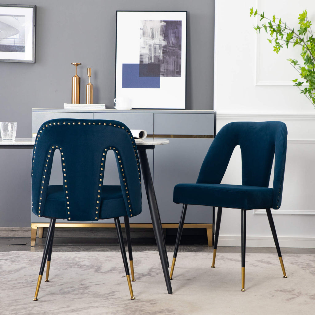 Modern Velvet Upholstered Dining Chair (Set of 2)