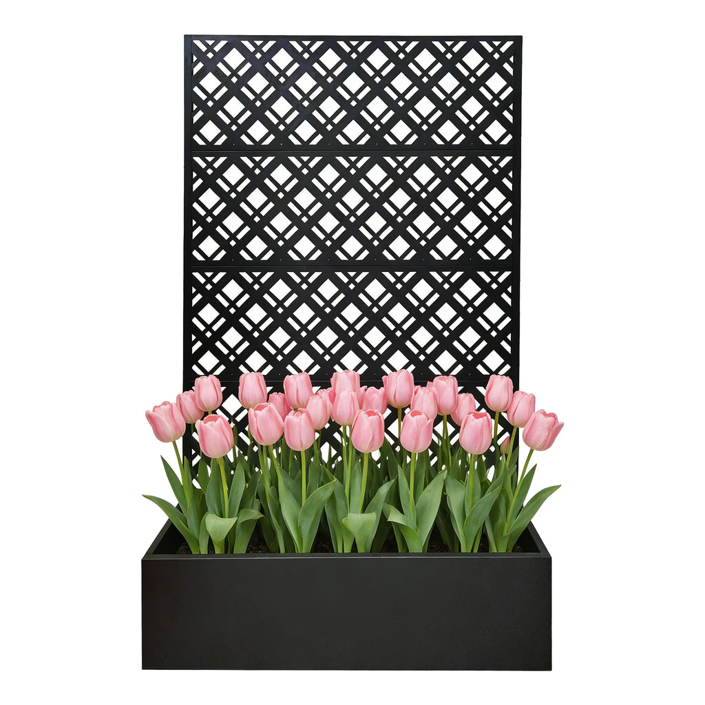 Black Metal Raised Garden Bed with Trellis for Climbing Plants