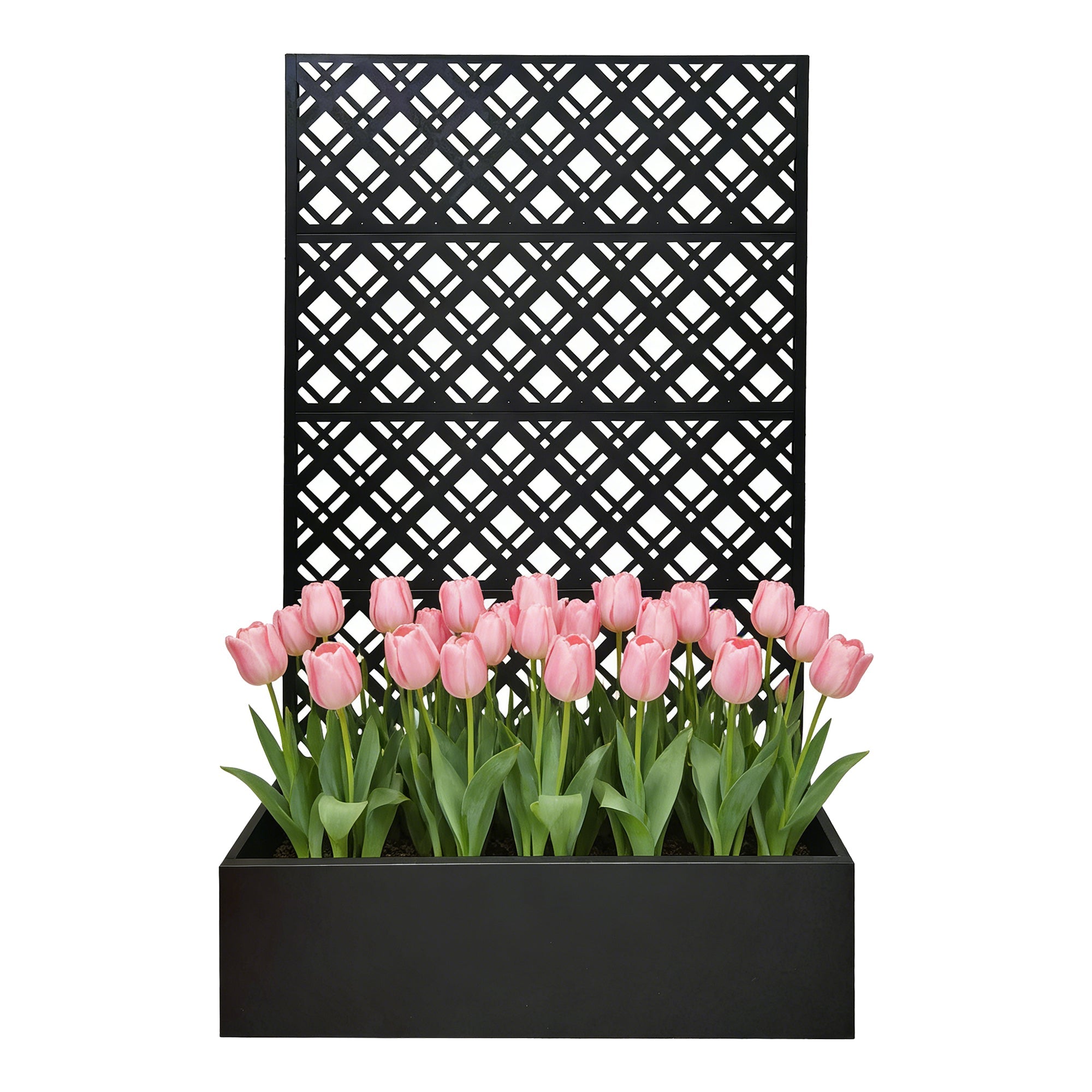 Black Metal Raised Garden Bed with Trellis for Climbing Plants