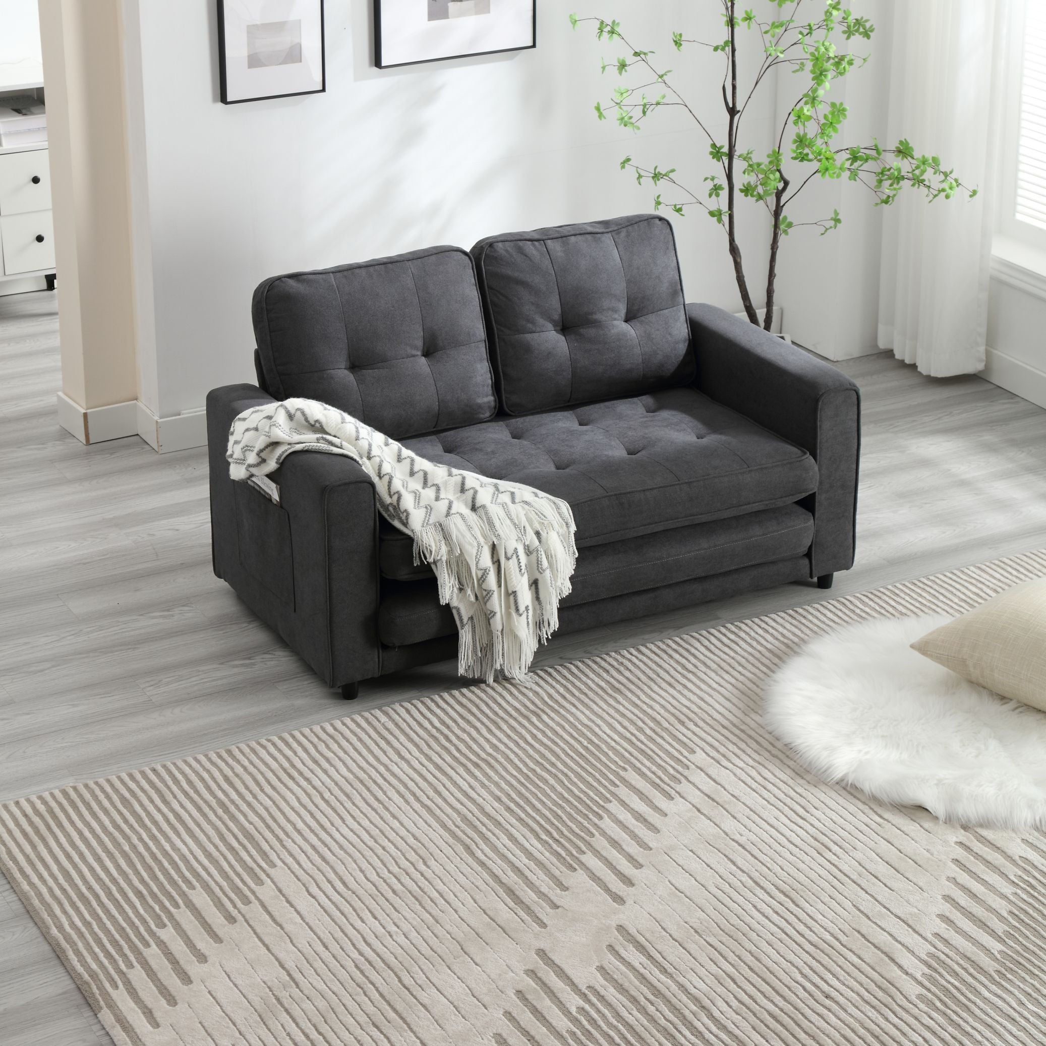 Pull Out Couch Bed for Living Room