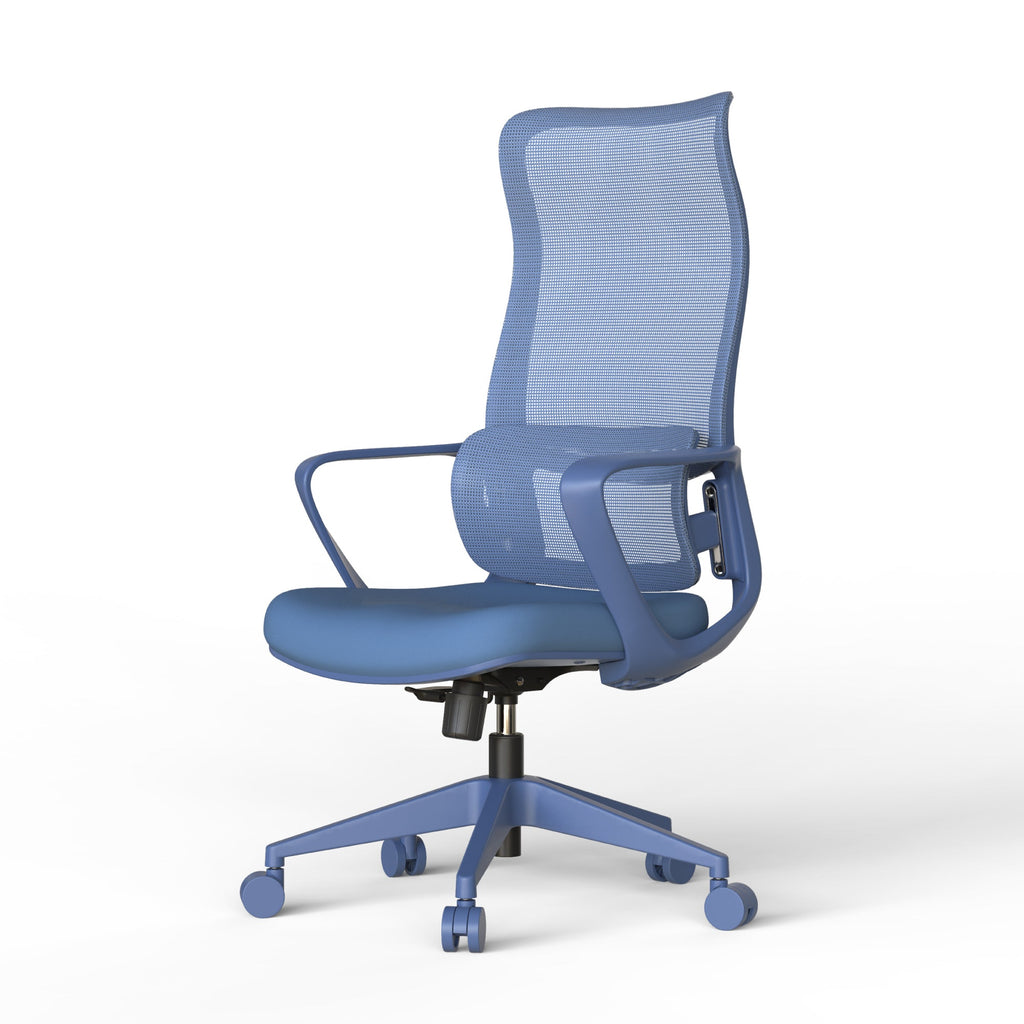 Modern Executive Office Chair with Adjustable Height Lumbar Support